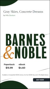 Barns and Noble Gray Skies Concrete Dreams